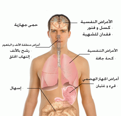   www.al-akhiar.com